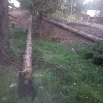 Cut It All - Job on seeley Lake for a customer! - Tree Services Near Me - Missoula, Montana Cut It All - Job on seeley Lake for a customer! - Tree Services Near Me - Missoula, Montana