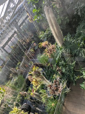 Real Jardín Botánico by null