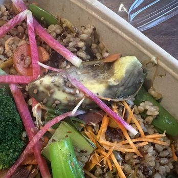 True Food Kitchen - Would you eat food from a place that sent you this? - New American Near Me - Chicago, Illinois True Food Kitchen - Would you eat food from a place that sent you this? - New American Near Me - Chicago, Illinois