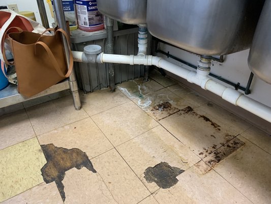 Avon Lake Plumbing Logo