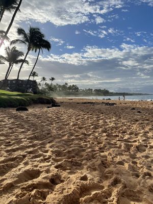 Mana Kai Maui by null