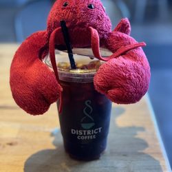 District Coffee - Cold brew with a side of Bobster!