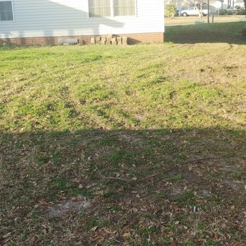 Asplundh Tree Expert - Tree Services Near Me - Romeoville, Illinois Asplundh Tree Expert - Tree Services Near Me - Romeoville, Illinois