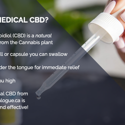 Cannalogue - cannalogue.ca