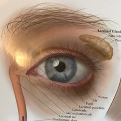 Arizona Eye Specialists
