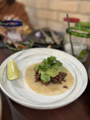 Chicatana by null