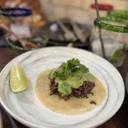 Chicatana Fine Mexican Cuisine - Grasshopper taco