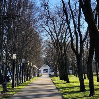 SAN RAMON CENTRAL PARK - Updated March 2026 - 259 Photos & 111 Reviews -  12501 Alcosta Blvd, San Ramon, California - Parks - Phone Number - Yelp