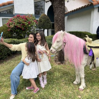 FairyTail Pony Parties - Party Characters Near Me - Orange, California FairyTail Pony Parties - Party Characters Near Me - Orange, California