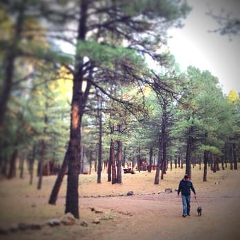 Arizona Mountain Inn Cabins 2019 All You Need To Know Before
