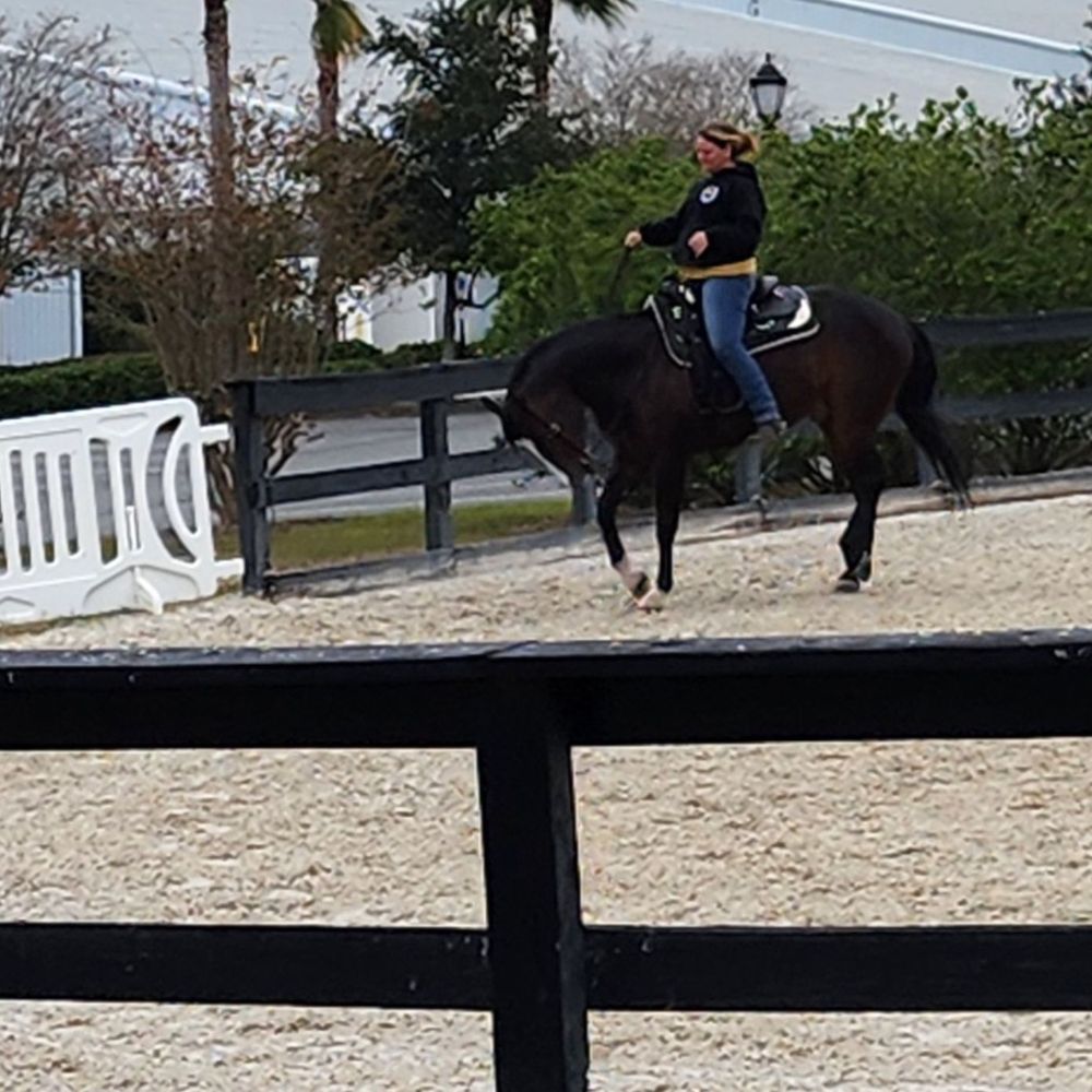 World Equestrian Center - Stadiums & Arenas Near Me - Ocala, Florida World Equestrian Center - Stadiums & Arenas Near Me - Ocala, Florida