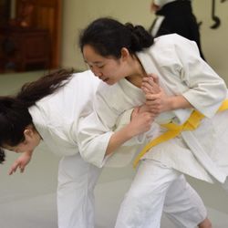 Genshinkan Aikido of Manhattan