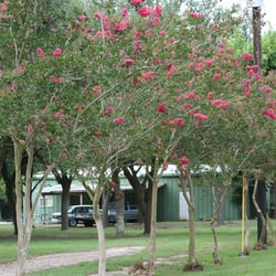 Bearazinga RV Park