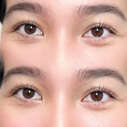 Lashes M Brows