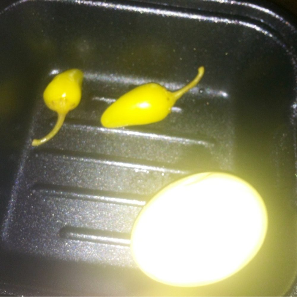 49rs Tavern - Pickled egg $1.00 - Sports Bars Near Me - Long Beach, California 49rs Tavern - Pickled egg $1.00 - Sports Bars Near Me - Long Beach, California