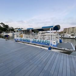 Dolphin Seafari
