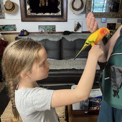 One of Patti's beloved birds