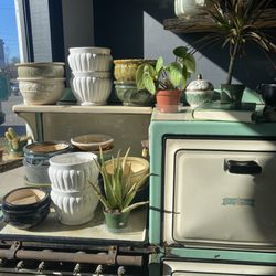 Yenna’s Healing Home Apothecary - Pots and plants