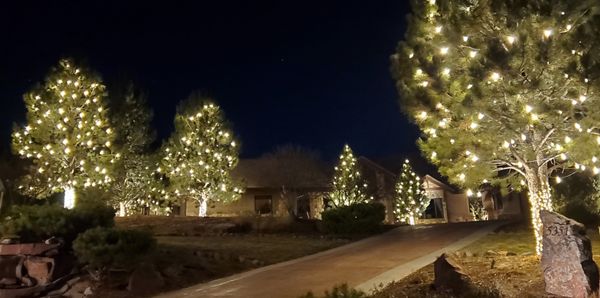 Holiday Lights - Holiday Lights Holiday Lights - Holiday Lights