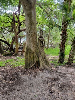 Philippe Park by null