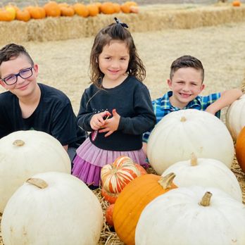Pumpkin Palooza - Beautiful selection of pumpkins - Pumpkin Patches Near Me - Carlsbad, California Pumpkin Palooza - Beautiful selection of pumpkins - Pumpkin Patches Near Me - Carlsbad, California
