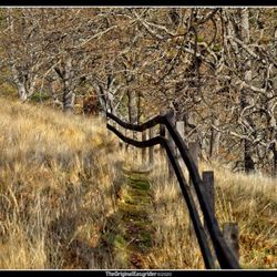 Klickitat Trail Conservancy