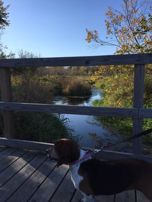 Plymouth Community Center by null