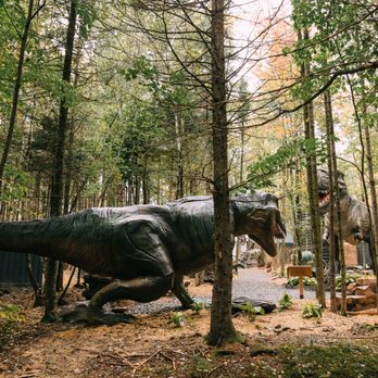 Woodooliparc - Amusement Parks Near Me - Scott, Quebec Woodooliparc - Amusement Parks Near Me - Scott, Quebec