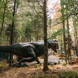 Woodooliparc