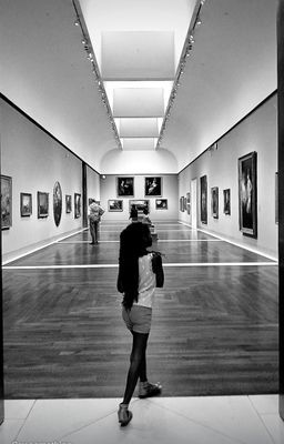The Museum of Fine Arts, Houston by null