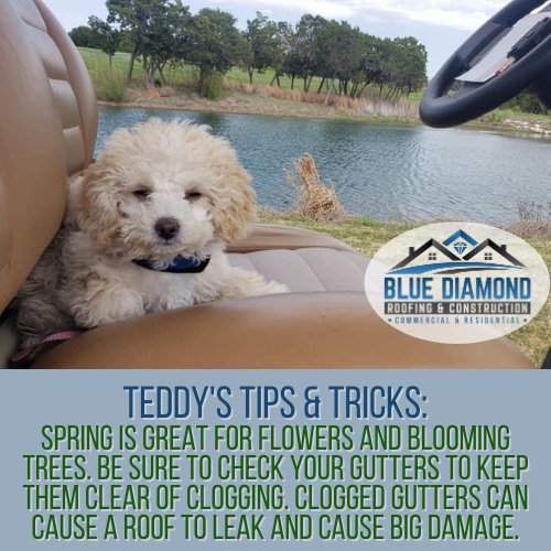 Slide of Blue Diamond Roofing & Construction