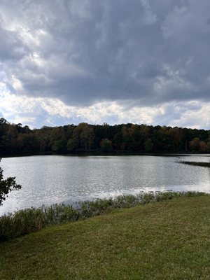 William B. Umstead State Park by null