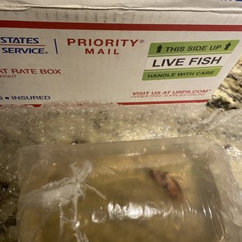 US Post Office - Live fish sticker on every corner. - Post Offices Near Me - Aurora, Colorado