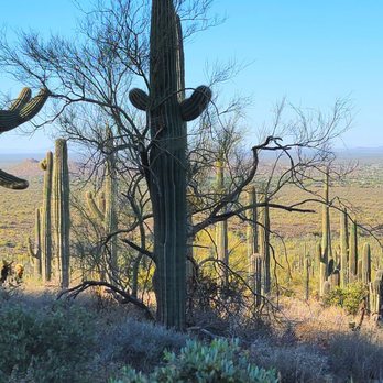 Broadway Trailhead to Broadway Cave - Cactus Forest! - Hiking Near Me - Apache Junction, Arizona Broadway Trailhead to Broadway Cave - Cactus Forest! - Hiking Near Me - Apache Junction, Arizona