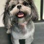 Photo of Classy Canines Pet Resort