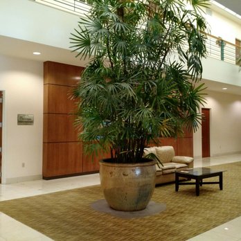 NorCal Imaging | Pleasanton - Gorgeous lobby - Radiologists Near Me - Pleasanton, California NorCal Imaging | Pleasanton - Gorgeous lobby - Radiologists Near Me - Pleasanton, California