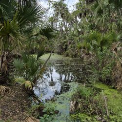 Ten Mile Creek Preserve