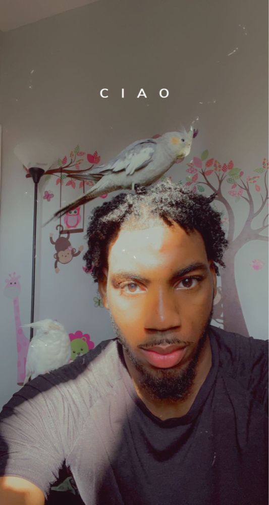 MAJESTIC FURNITURE Updated August 2024 503 Central Ave, East Orange, New Jersey Furniture