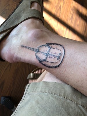 Eventide Tattoo by null