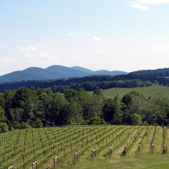Delaplane Cellars - Vineyard view from deck - Wineries Near Me - Delaplane, Virginia