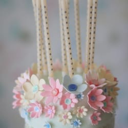 Liggy's Cakes