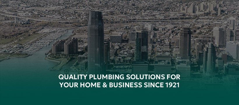 Slide of William J. Guarini