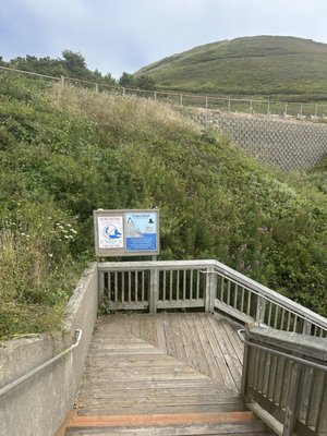 Yaquina Head Outstanding Natural Area by null