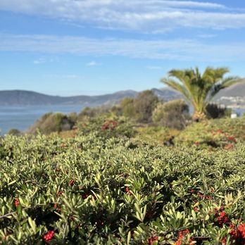 Marisol - Views from restaurant - Seafood Near Me - Pismo Beach, California