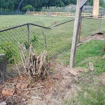 New Edge - hain link repair and stump removal - Fences & Gates Near Me New Edge - hain link repair and stump removal - Fences & Gates Near Me