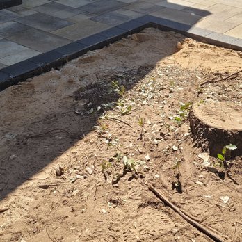 Southern Love Landscaping & Design - Sand left vs native soil - Landscaping Near Me - Austin, Texas Southern Love Landscaping & Design - Sand left vs native soil - Landscaping Near Me - Austin, Texas