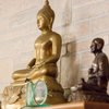 Thai Ocha gift card