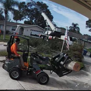 Pinellas Tree Service - Loader - Tree Services Near Me - Clearwater, Florida Pinellas Tree Service - Loader - Tree Services Near Me - Clearwater, Florida