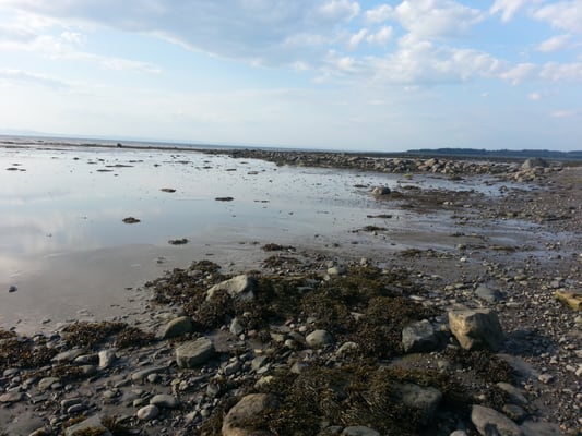 Auberge De La Pointe by null