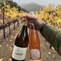 Pisoni Family Vineyards